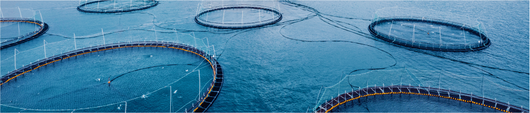 Grande pisciculture